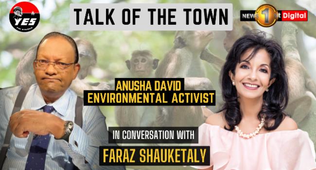 Talk of the Town: Sri Lanka’s “Monkey Business” causes concern | Anusha David | 24 April 2023